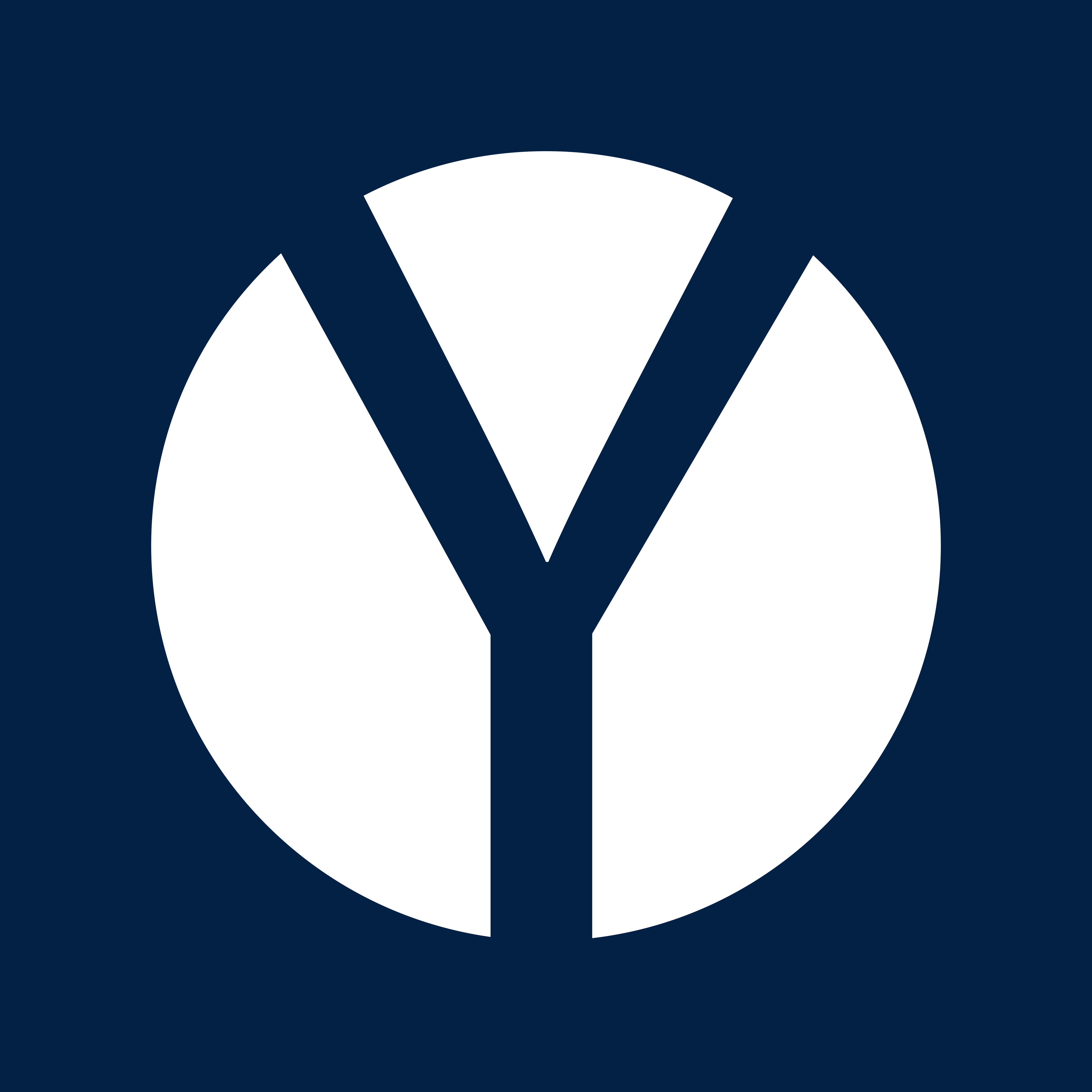 VYO Logo